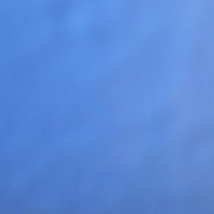 Meet your Posher, Kalei